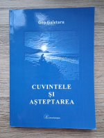 Geo Galetaru - Cuvintele si asteptarea