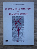 Anticariat: Ilarie Hinoveanu - Comoara de la Ostroveni si 