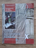 Nicolae Constantinescu - Limba si literatura romana. Manual pentru clasa a X-a