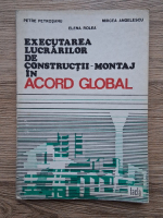 Petre Petrosanu - Executarea lucrarilor de constructii-montaj in acord global