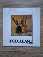 Pictura Adrian Podoleanu 