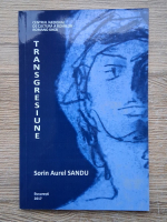 Sorin Aurel Sandu - Transgresiune