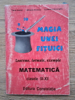 Tania Andrei - Magia unei fituici. Teoreme, formule, exemple. Matematica, clasele IX-XII