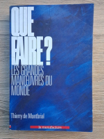 Thierry De Montbrial - Que faire? Les grandes manoeuvres du monde