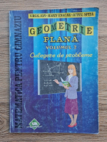 Virgil Ion, Marin Enache - Geometrie plana. Culegere de probleme, volumul 2