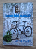 Costel Stancu - Sanatoriu de boli necunoscute