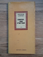 George Lesnea - Chipul din fintina