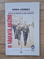 Horia Garbea - O sageata arzind. Istorii de familie si alte amintiri