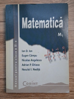 Anticariat: Ion D. Ion - Matematica, M1. Manual pentru clasa a XI-a