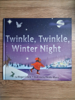 Megan Litwin - Twinkle, twinkle, winter night
