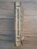 Nicolae Iorga - Istoria Rominilor in chipuri si Icoane (uzata, 1921)