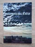 Nicolae Radu - Vagabond sub cerul de beton