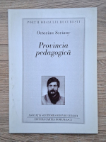 Octavian Soviany - Provincia pedagogica