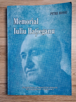 Petre Hossu - Memorial Iuliu Hatieganu