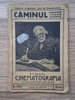 Anticariat: Stelian Ionescu - Cinematografia (1916)