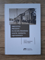 Trecutul prezent. Evreii din Romania: istorie, memorie, reprezentare