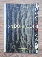 Vali Ortan - Din doi in doi