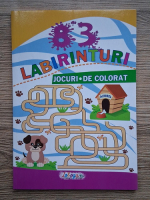 83 Labirinturi. Jocuri. De colorat