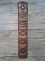 Alphonse Daudet - Oeuvres. Le petit chose