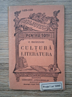 Garabet Ibraileanu - Cultura si literatura (1920)
