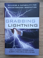 Anticariat: Gina C. O Connor - Grabbing lightning. Building a capability for breakthrough innovation