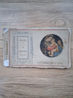 La galleria Pitti (35 reproduceri. 1931)