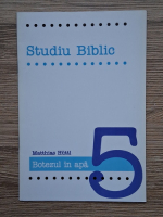 Anticariat: Matthias Huttl - Botezul in apa