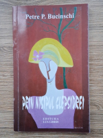 Petre P. Bucinschi - Prin nisipul clepsidrei