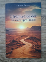 Simona Gurzu - O frantura de dor din calea spre Emaus