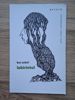 Anticariat: Teo Cabel - Labirintul