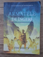 Tim Sheets - Armatele de ingeri. Eliberarea razboinicilor din cer