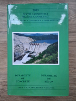 V. M. Malhotra - Sixth CANMET/ACI. International Conference on Durability of Croncrete