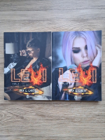Eva L. Laust - Levi (2 volume)