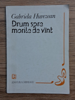 Gabriela Hurezean - Drum spre morile de vint