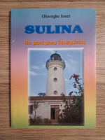 Gheorghe Ionel - Sulina. Un port prea indepartat