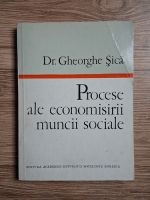 Gheorghe Sica - Procese ale economisirii muncii sociale