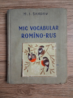 Mic vocabular romano-rus