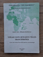 Mihaela Stefanica - Voyage dans quelques villes francophones. Curs de limba franceza pentru economisti