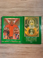 Mihail Polski - Noii martiri ai pamantului rus (2 volume)