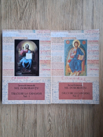 Anticariat: Nil Dorobantu - Talcuiri la canoane (2 volume)