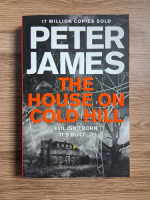 Peter James - The house on cold hill