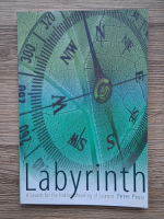 Anticariat: Peter Pesic - Labyrinth. A search for the hidden meaning of science