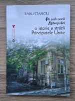 Radu Stanciu - Pe sub nucii mitropoliei. O istorie a strazii Principatele Unite
