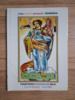 Sfantul inger Excelsior de la Sfantul Tron Divin. Pedepsirea duhurilor rele