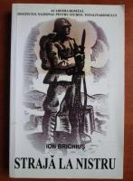 Ion Brichius - Straja la Nistru