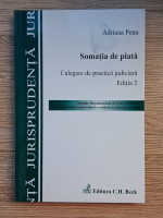 Adriana Pena - Somatia de plata. Culegere de practica judiciara (editia a 2-a)