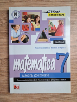 Anton Negrila, Maria Negrila - Matematica. Algebra, geometrie, clasa a VII-a (volumul 1)