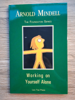 Arnold Mindell - Working on yourself alone