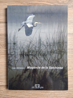 Dan Stanescu - Mlastinile de la Satchinez