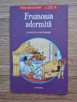 Frumoasa adormita. Poveste cu pictograme